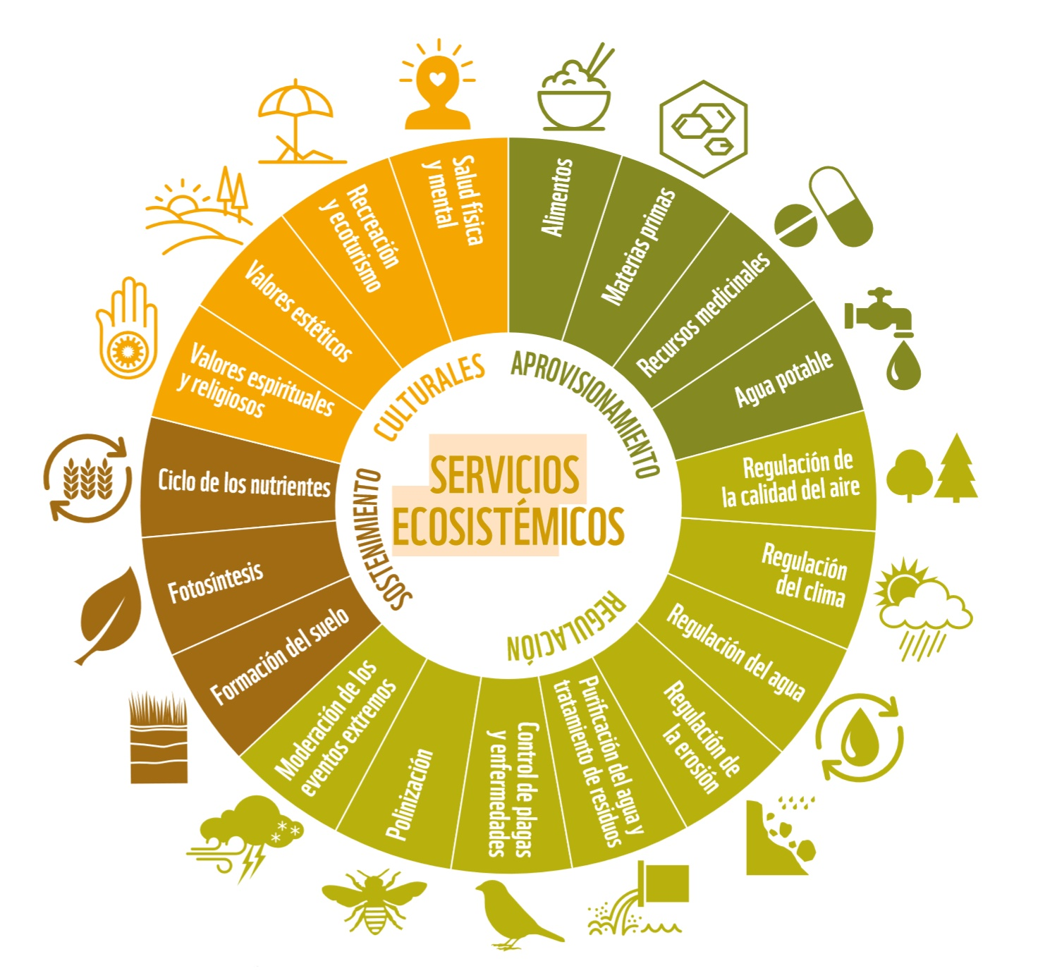 servicios ecosistemicos